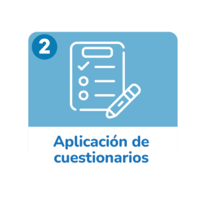 Aplicación de cuestionarios